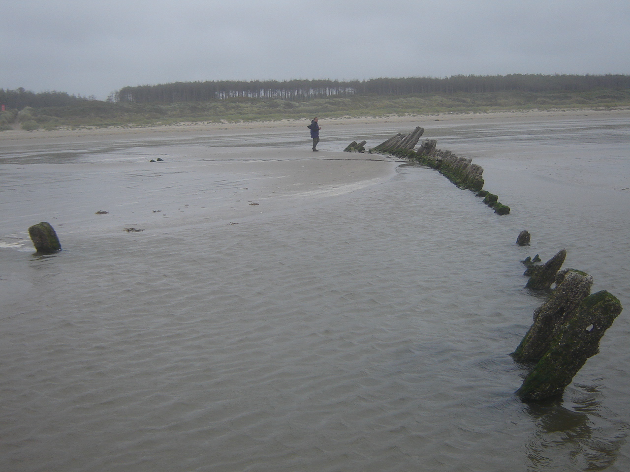 Surveying on Cefn Sidan Sands in 2010